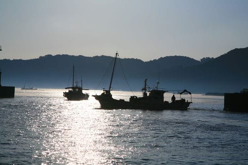 夏泊半島